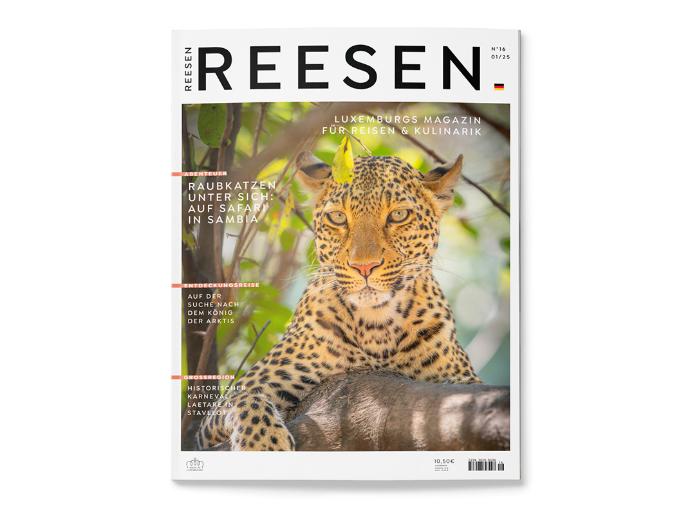 REESEN 16 (2025 / 1)